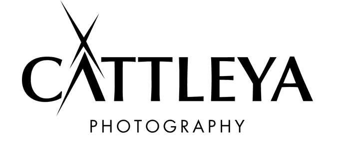 كاتليا